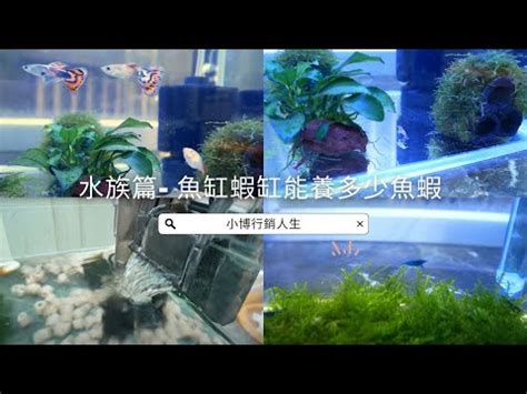 魚缸計算|魚缸計算機